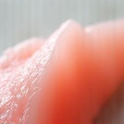 春の訪れを感じる桜鯛